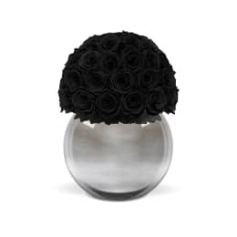 Infinite Rose Silver Palacio