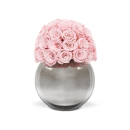 Infinite Rose Silver Palacio