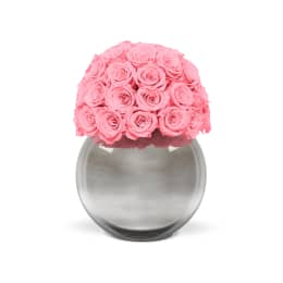 Infinite Rose Silver Palacio