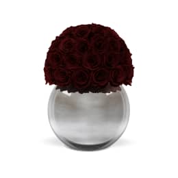 Infinite Rose Silver Palacio