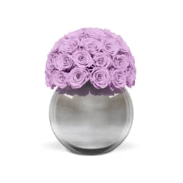 Infinite Rose Silver Palacio