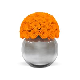 Infinite Rose Silver Palacio