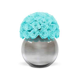 Infinite Rose Silver Palacio