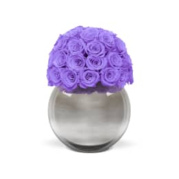 Infinite Rose Silver Palacio