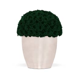 Infinite Rose Uptown