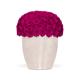 Infinite Rose Uptown