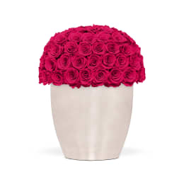 Infinite Rose Uptown