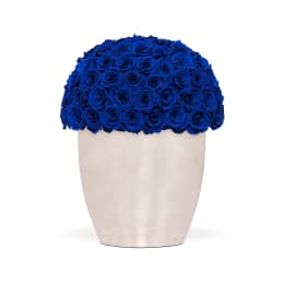 Infinite Rose Uptown