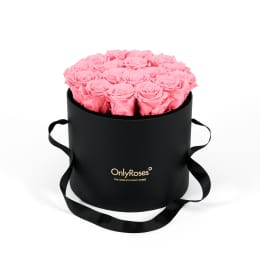 Infinite Rose Waldorf