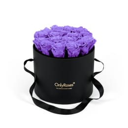 Infinite Rose Waldorf