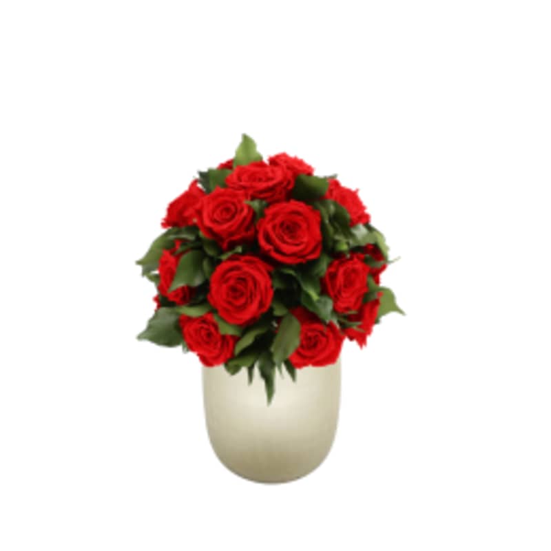 Infinite Rose Sienna