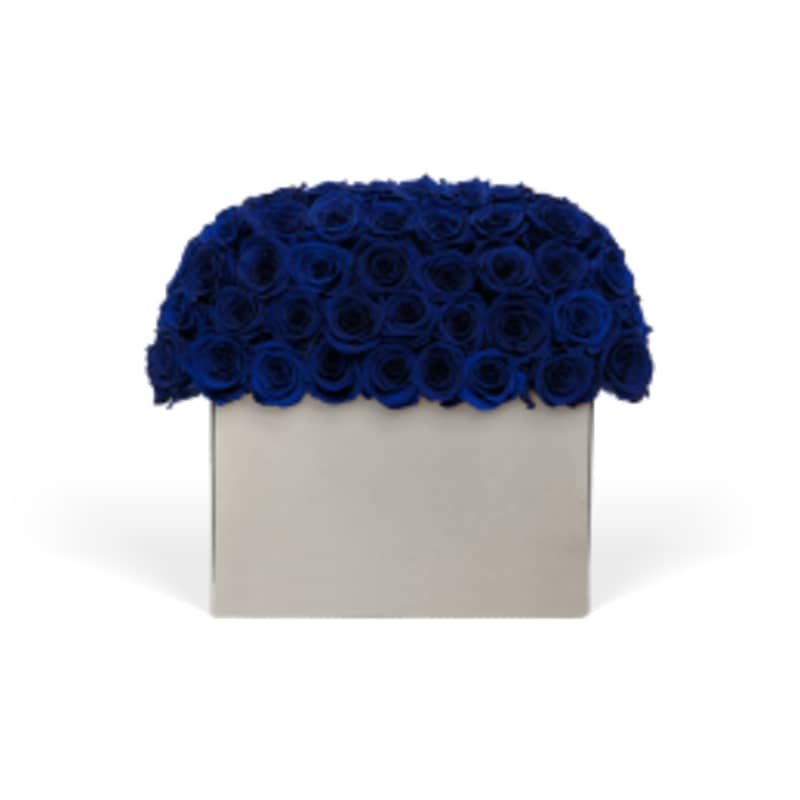 Infinite Rose Modernist