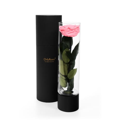 Luxury Roses Delivered In Beverly Hills Onlyroses