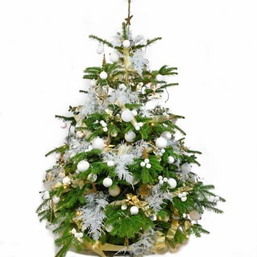 Christmas Trees Delivered in London OnlyRoses