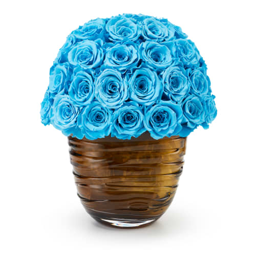 Infinite Rose Onda from OnlyRoses