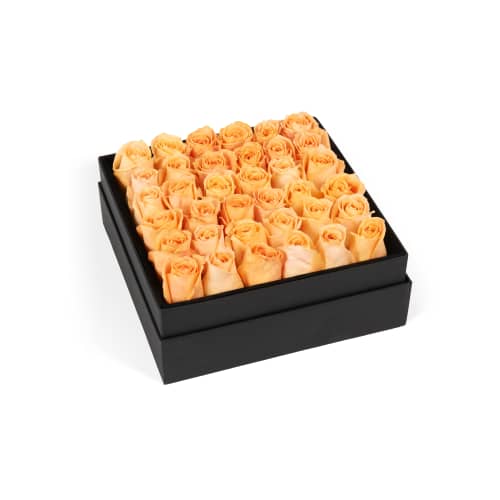 Classic Rose Plaza delivered in Beverly Hills from OnlyRoses