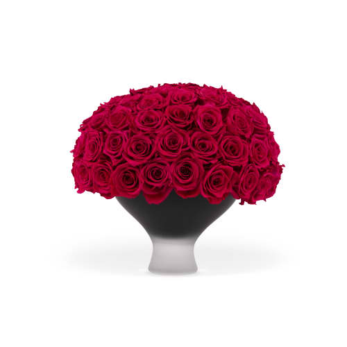 infinite roses delivered in