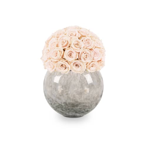 Classic Rose Parthenon Dame delivered in Beverly Hills from OnlyRoses