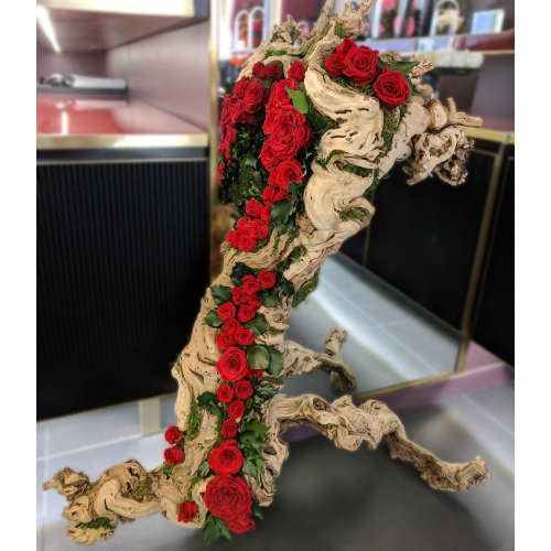 Infinite Rose Manzanita Root - OnlyRoses - The World's Finest Roses