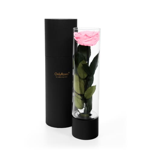 Infinite Rose Ebony - OnlyRoses - Roses delivered Los Angeles