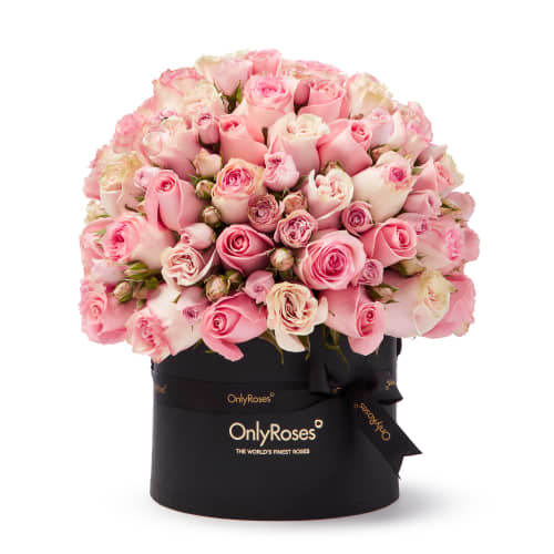 Classic Rose Verano delivered in Beverly Hills from OnlyRoses