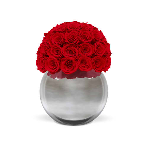 Valentine's Day infinite Silver Palacio Roses from OnlyRoses