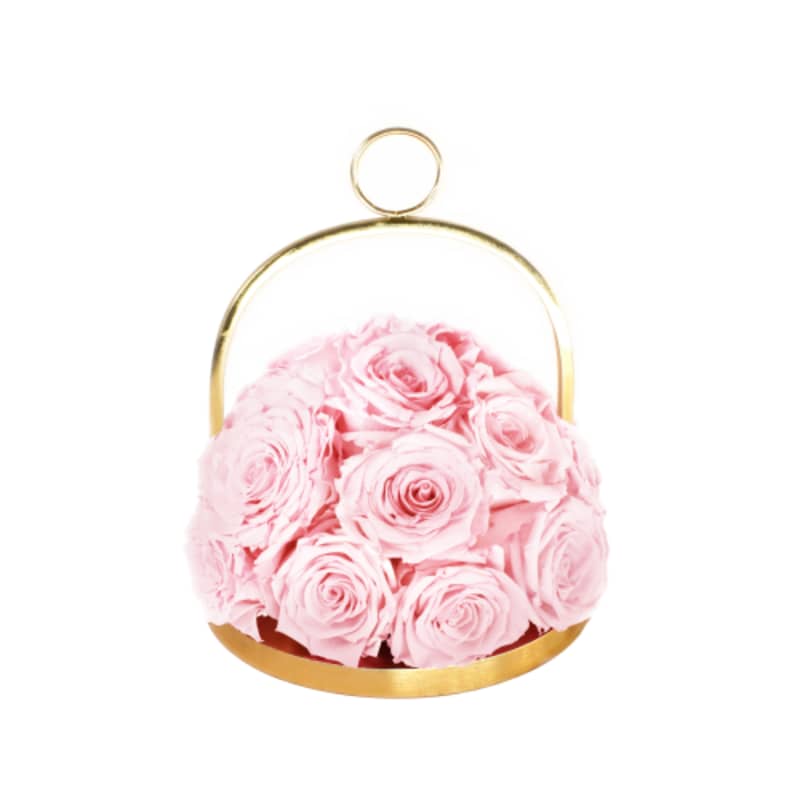 Infinite Rose Lantern Dome from OnlyRoses