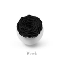black roses