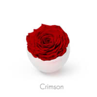 crimson roses