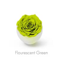 fluorescent green roses