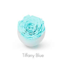 tiffany blue roses