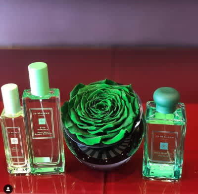 A Long Lasting Gift of Roses from OnlyRoses