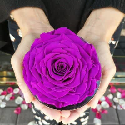 A Long Lasting Gift of Roses from OnlyRoses
