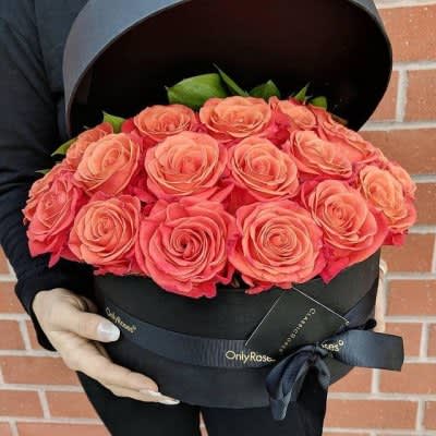 Classic Rose Manhattan from OnlyRoses in Beverly Hills