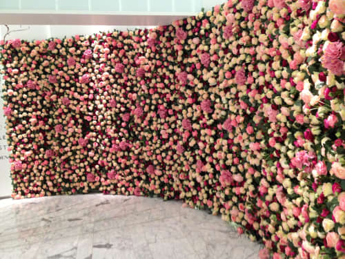 Rose Walls