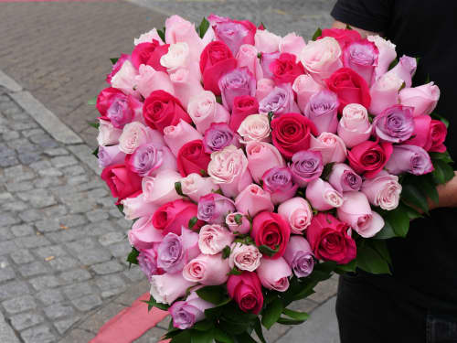 Blog