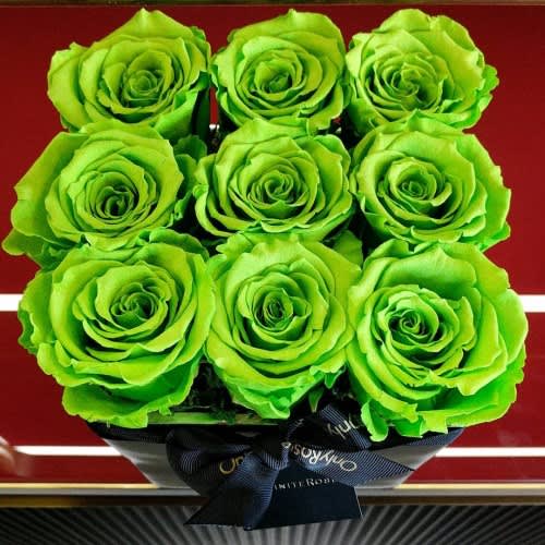Celebrate St Patrick's Day with our Green With Envy Luxury Roses this year