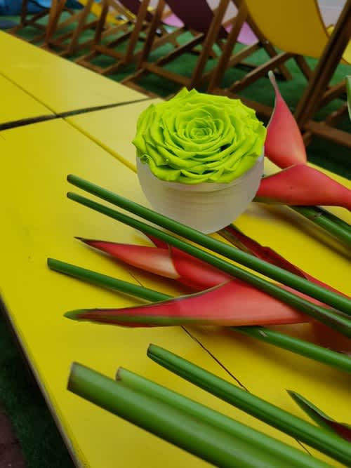 Celebrate St Patrick's Day with our Green With Envy Luxury Roses this year