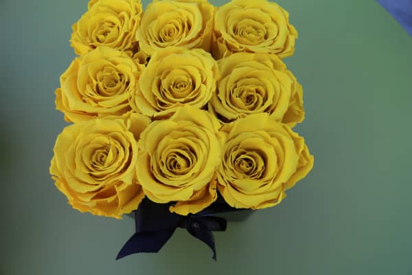 Klassische gelbe Rosen Klassische gelbe Rosen