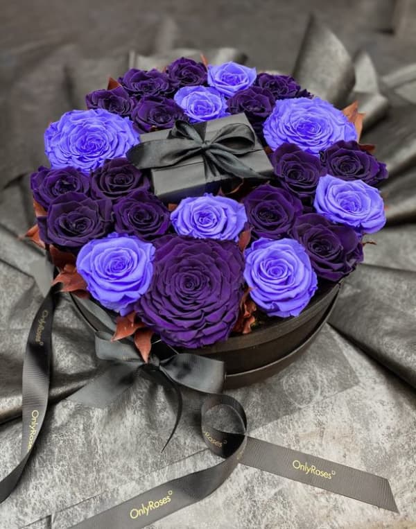 Gift wrapped in soho purple roses Gift wrapped in soho purple roses