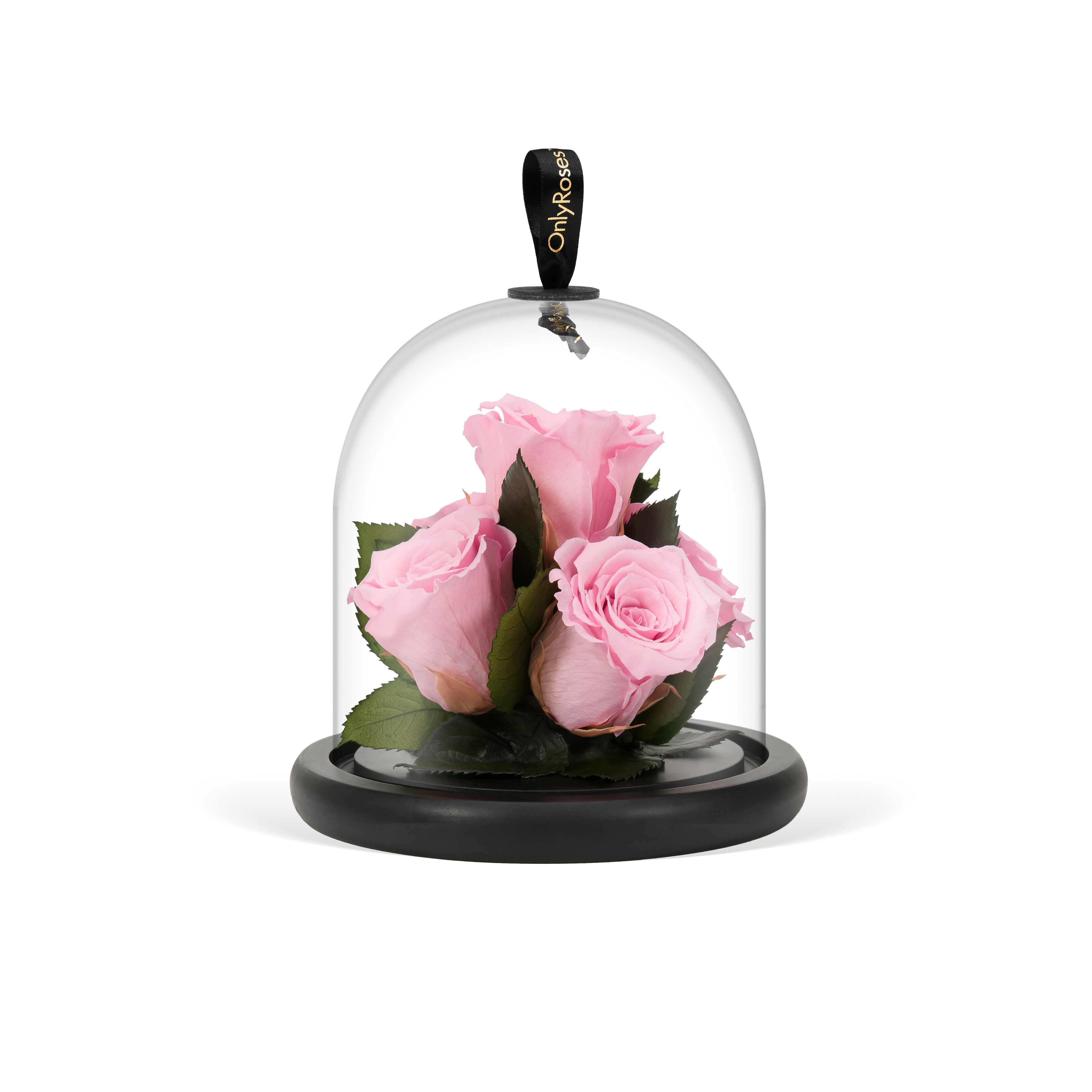 Infinite Rose Gem OnlyRoses Rose Delivery Service