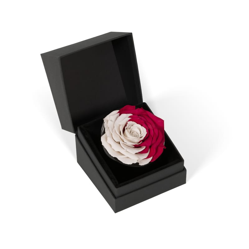 Qatar National Day Luxury Roses Doha OnlyRoses