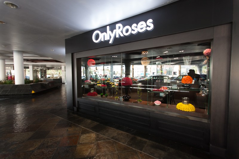 Auto Shops Near Me >> Luxury Roses Store in Dubai - OnlyRoses Auto Shops Near Me >> Luxury Roses Store in Dubai - OnlyRoses