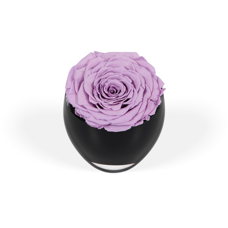 The Infinite Rose Delivered Across Los Angeles OnlyRoses