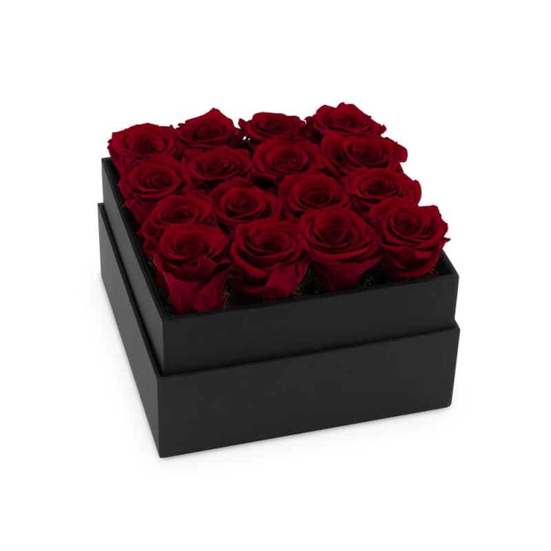 Valentine's Day Infinite Rose Plaza - Beverly Hills | OnlyRoses