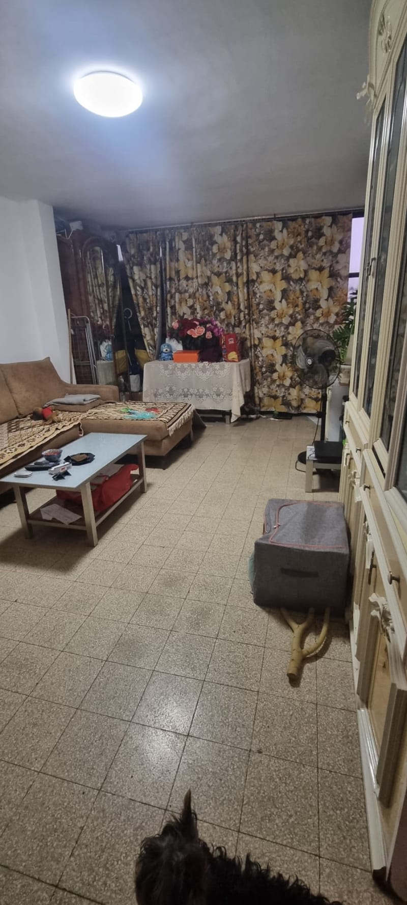 Apartment for Sale in Lod - Image 4