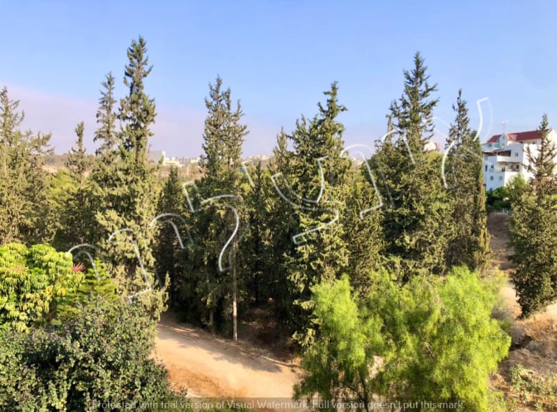 Duplex for Sale in Rosh Haayin - Image 7