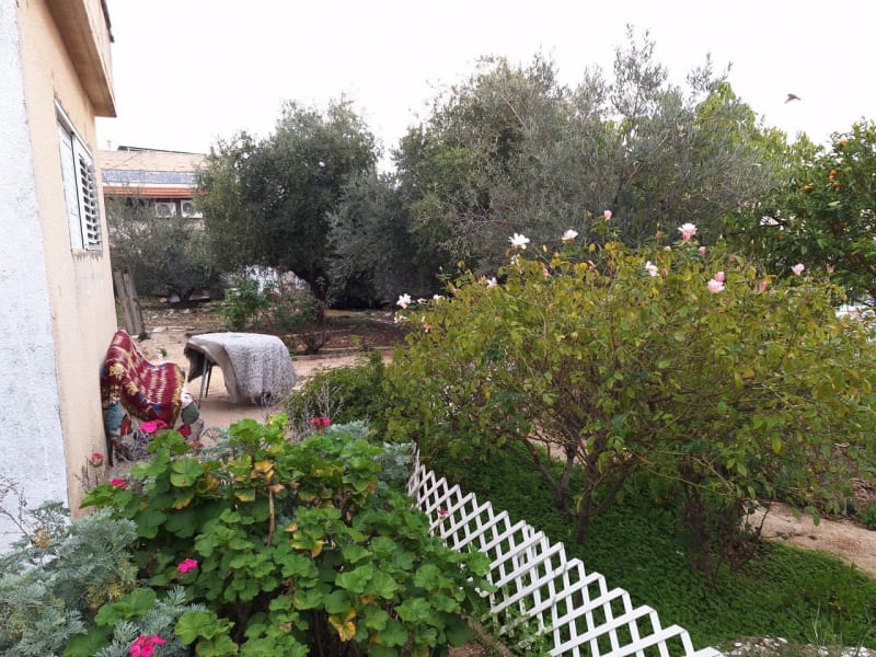 Villa for Sale in Safed - Image 5