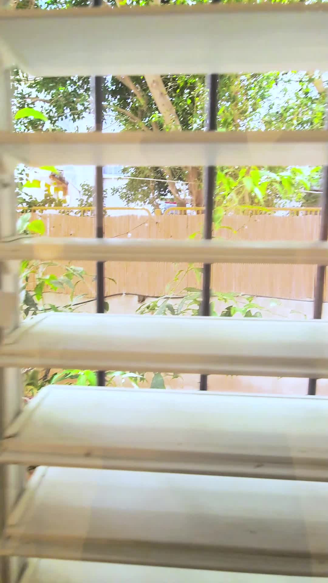 video poster