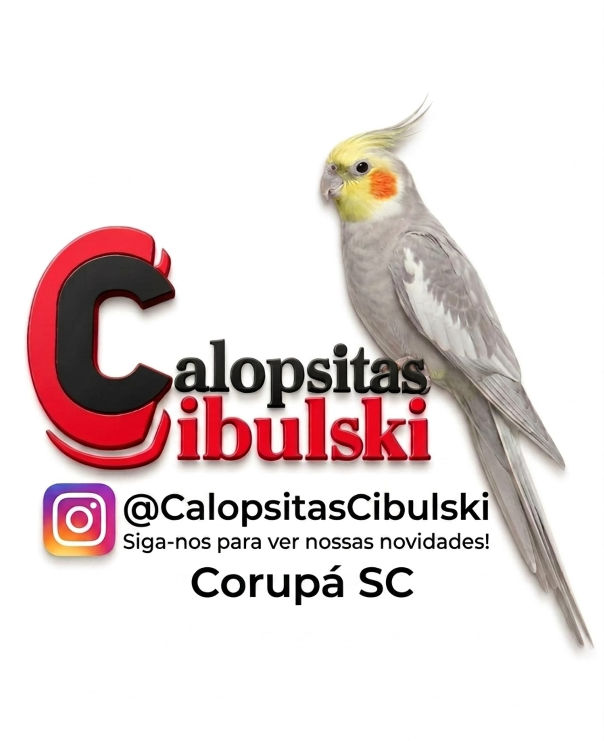 Calopsitas Cibulski 